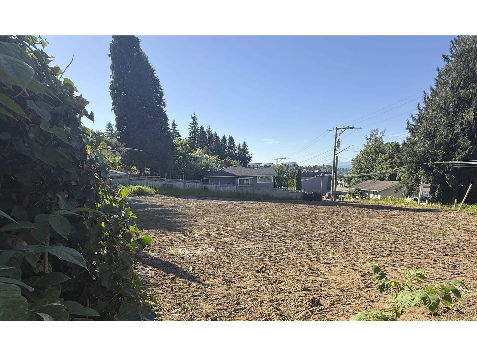 2353 MCKENZIE Image 6