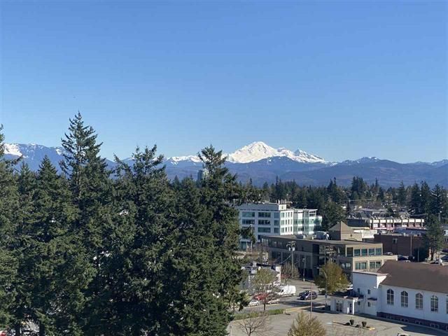 Tertiary Property View
