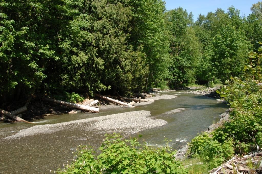 1826 WOOD DUCK WAY Image 39
