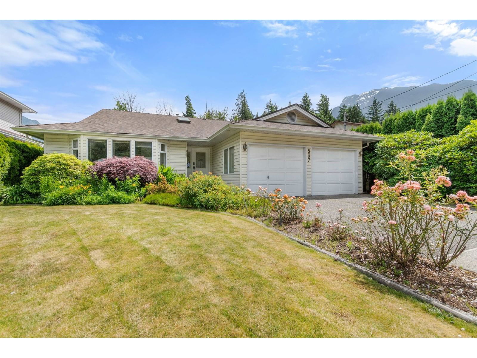 Primary Property View