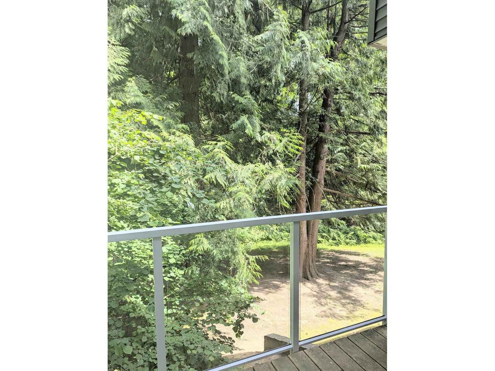 31 - 20155 50 Image 17