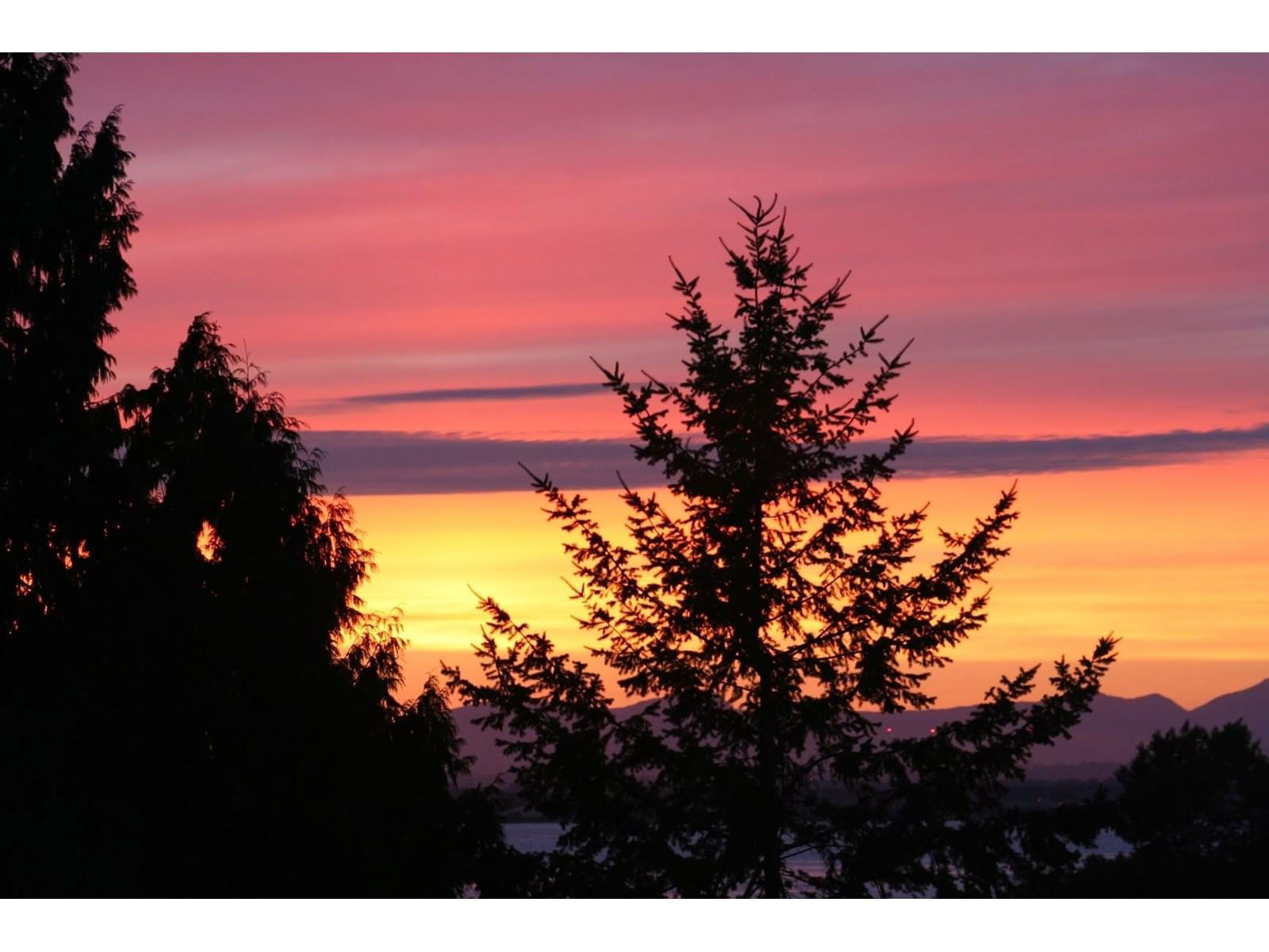 12503 28 Image 6