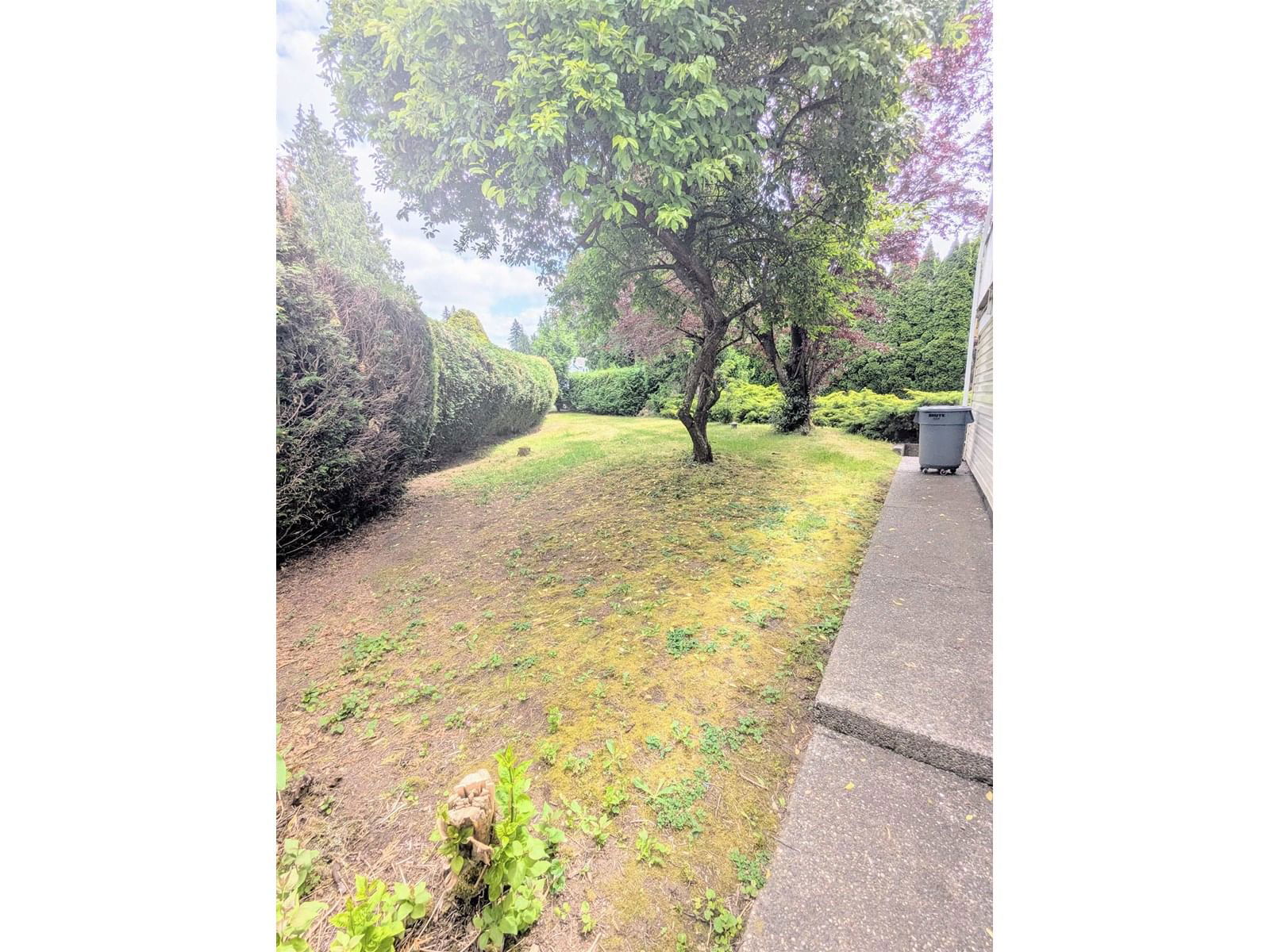 4621 UPLANDS Image 23