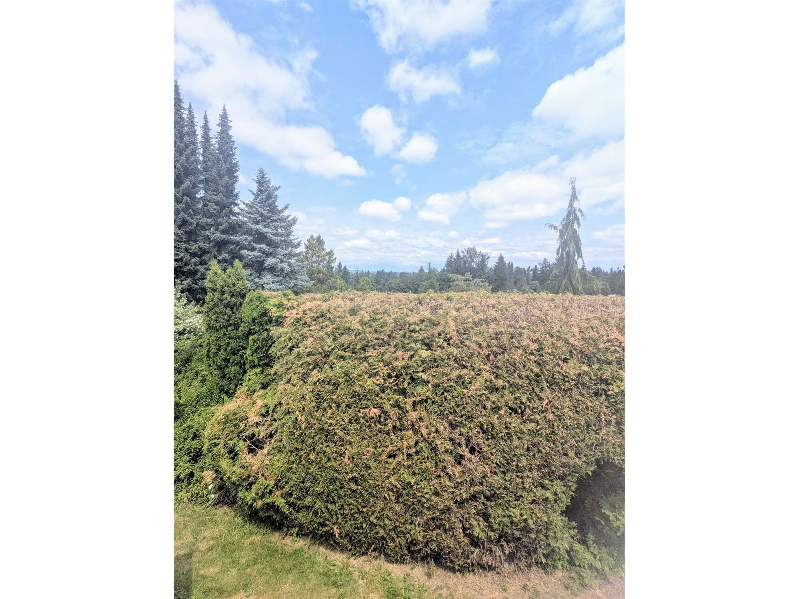 4621 UPLANDS Image 24