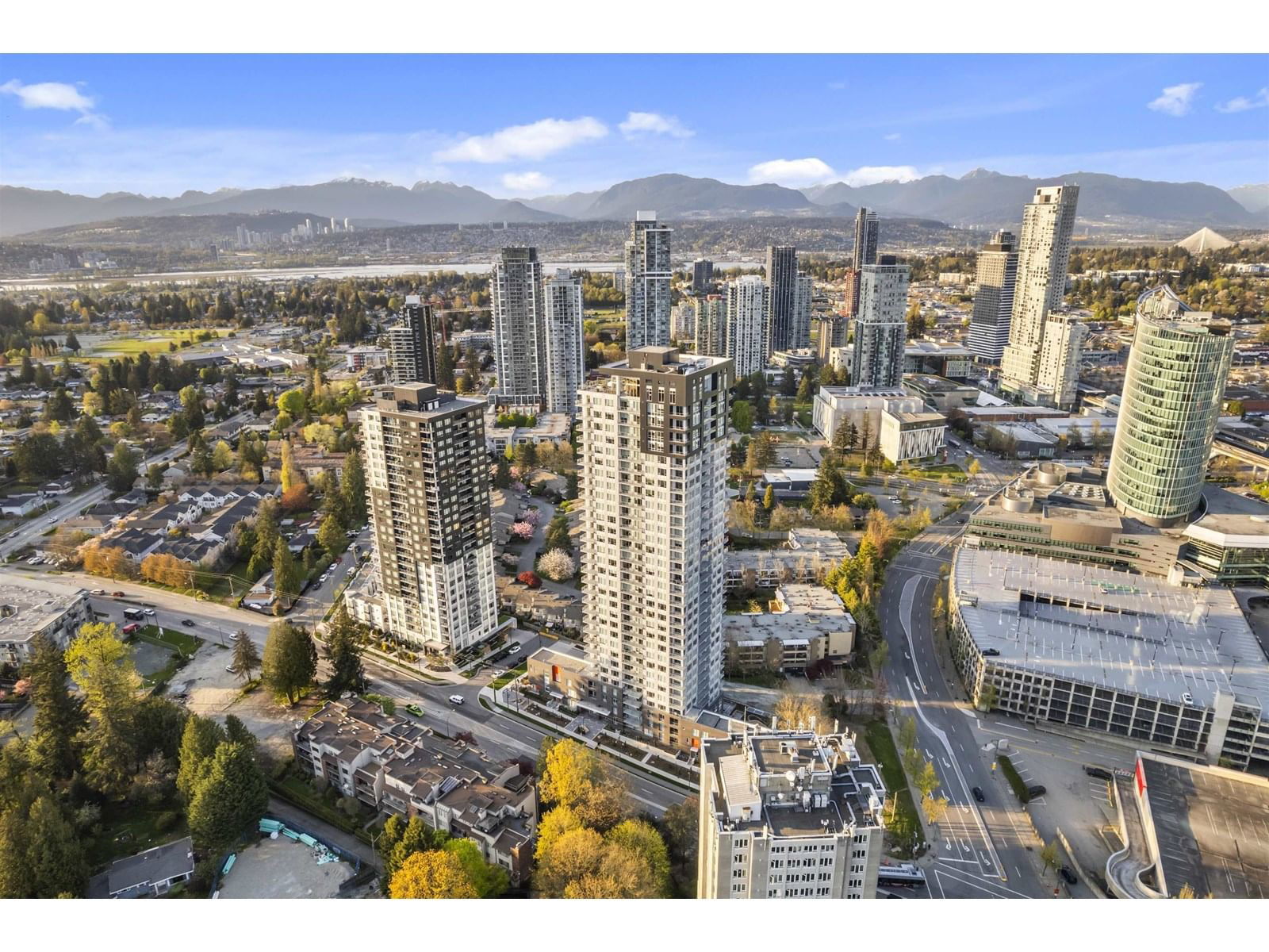 Primary Property View