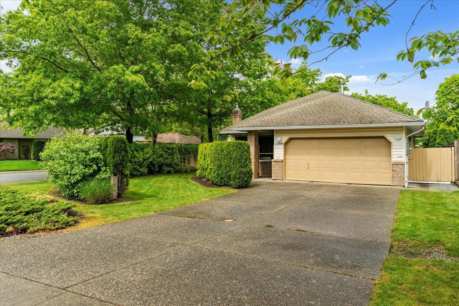 Primary Property View