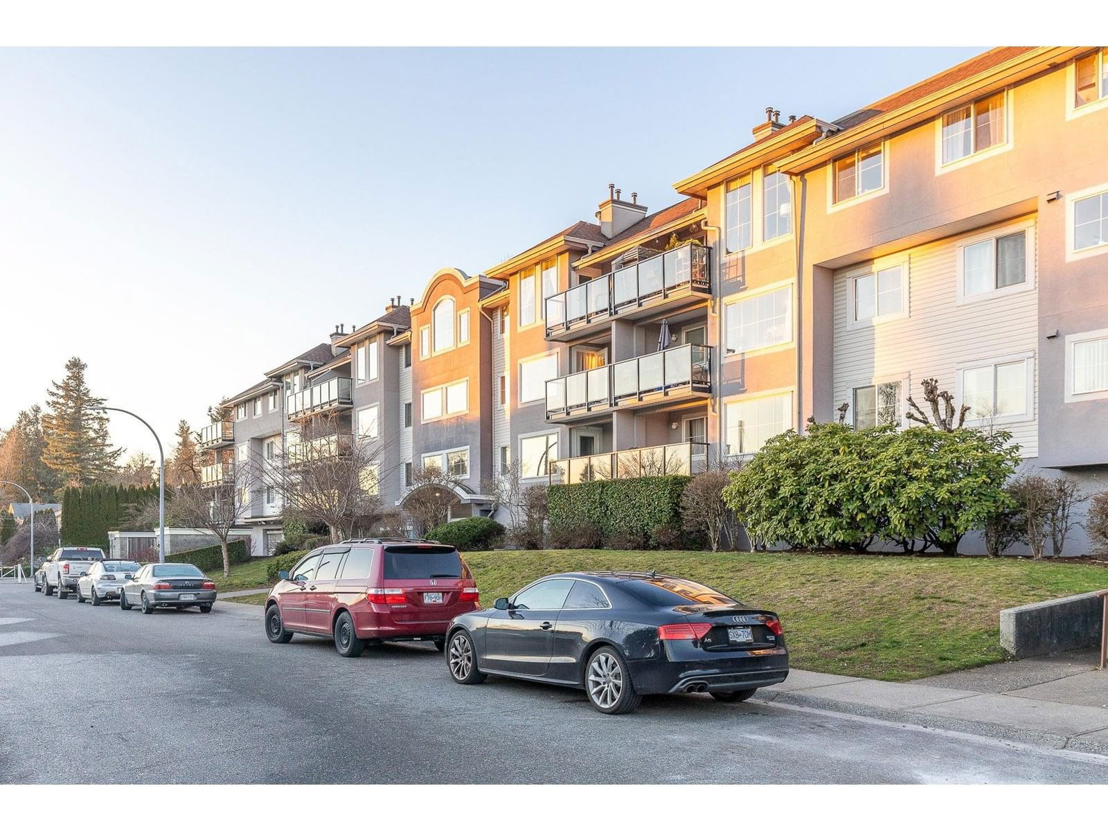 Primary Property View