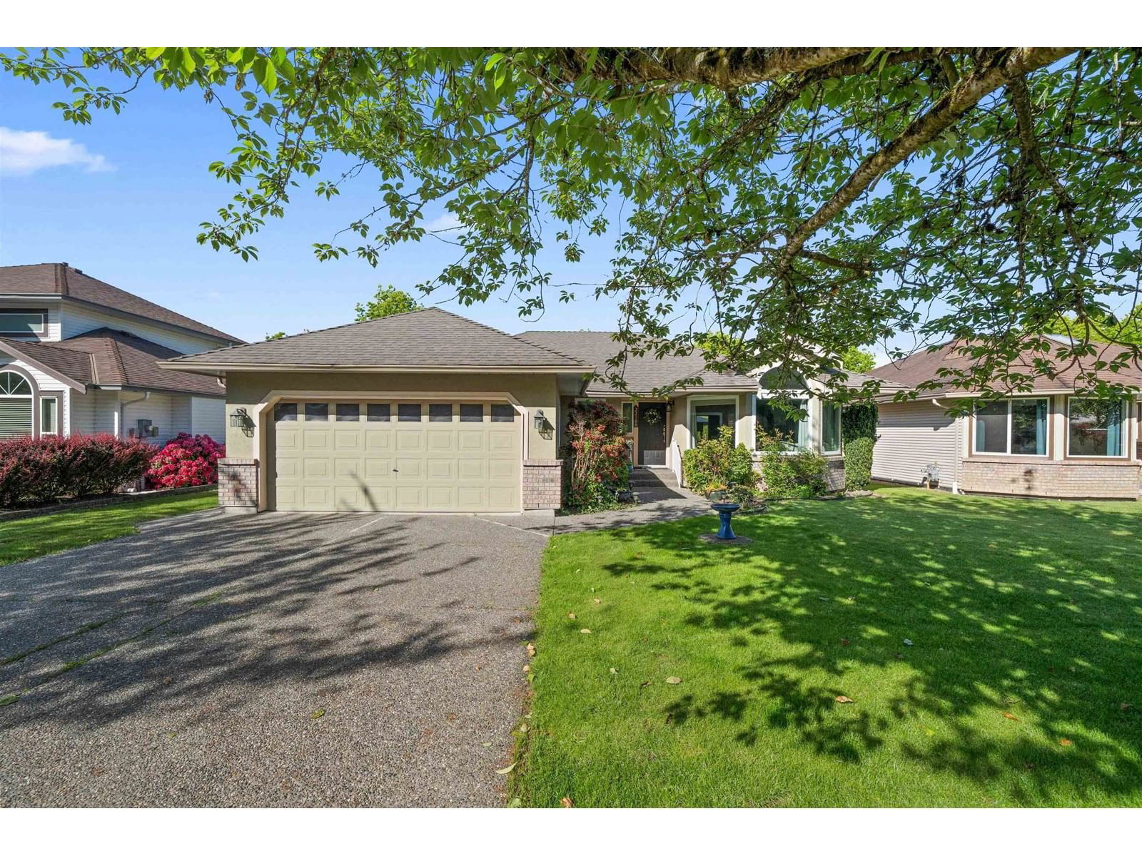 Primary Property View