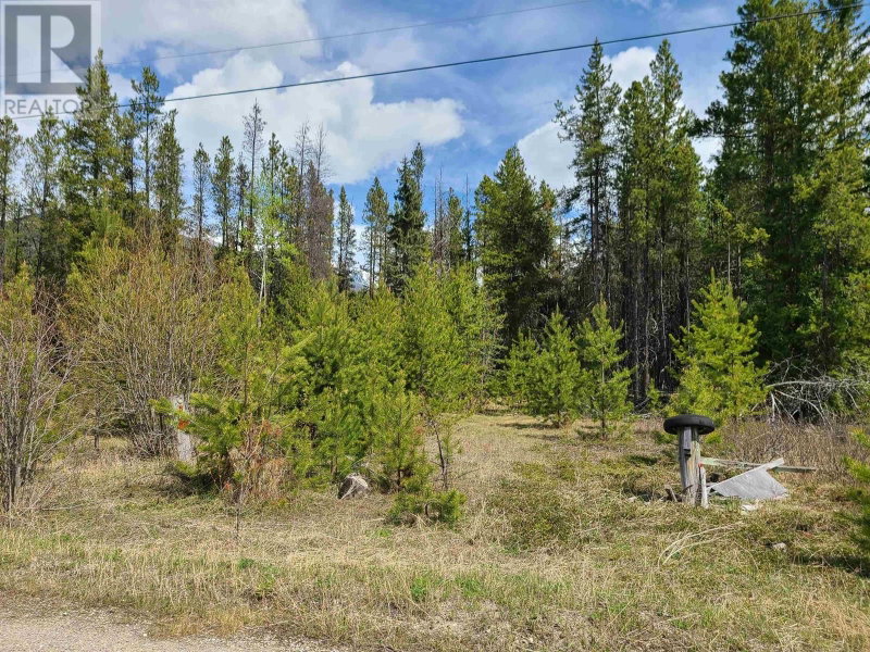 2300 MAIN Street Valemount British Columbia, V0E 2Z0 - Vacant Land For Sale
