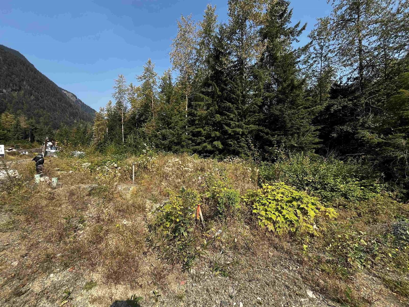 Primary Property View