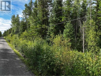 LOT 4 SAXTON LAKE Road | Prince George British Columbia | Slide Image Sixteen