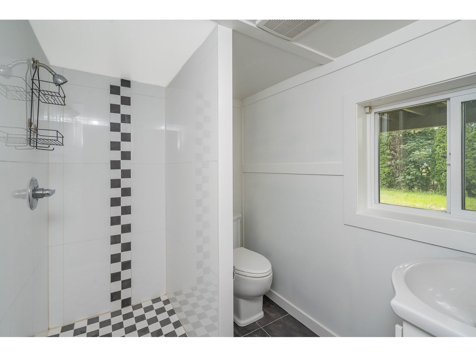 45290 SPRUCE DRIVE Image 26