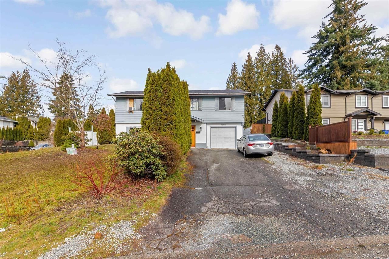 Primary Property View