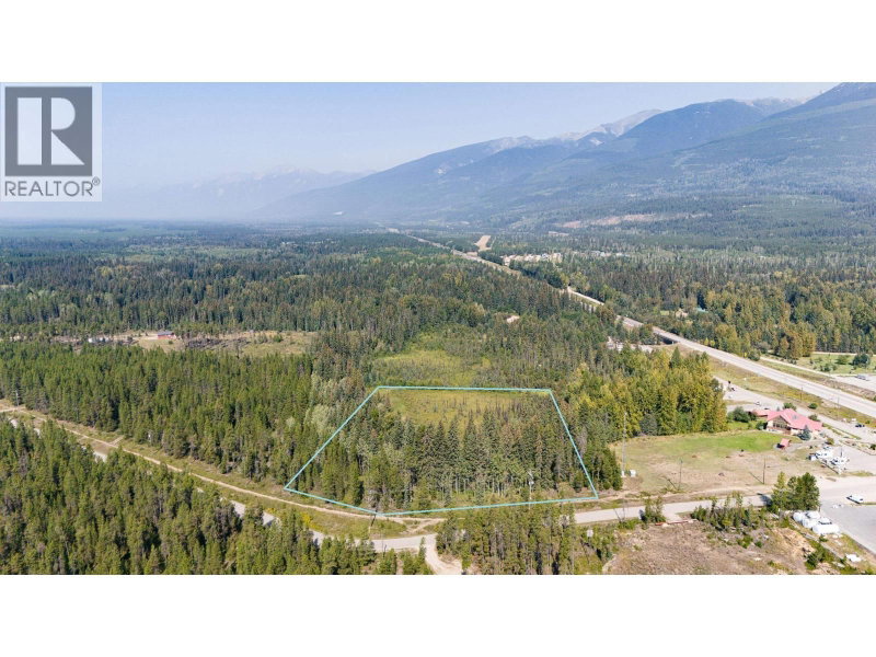 1 PINE Road Valemount British Columbia, V0E 2Z0 - Vacant Land For Sale