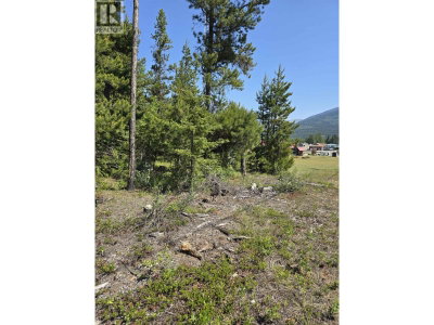 1 PINE Road | Valemount British Columbia | Slide Image Three