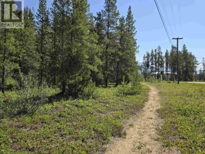 1 PINE Road | Valemount British Columbia | Slide Image Four