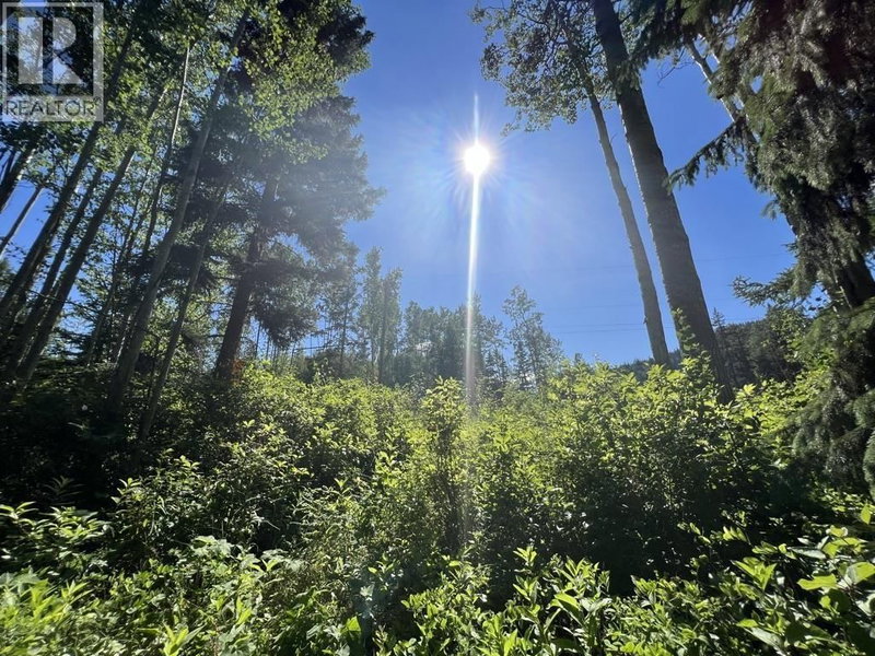 3000 DAHLIE Road Smithers British Columbia, V0J 2N4 - Vacant Land For Sale