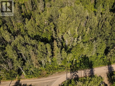 3000 DAHLIE Road | Smithers British Columbia | Slide Image Eight