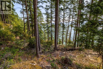 1345 CATALINA Road | Bowen Island British Columbia | Slide Image Thirteen