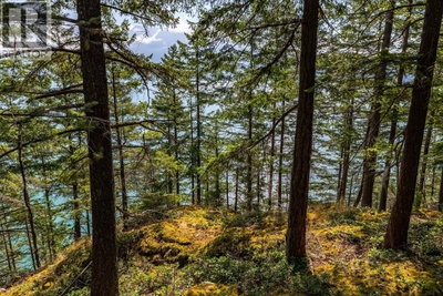 1345 CATALINA Road | Bowen Island British Columbia | Slide Image Fourteen