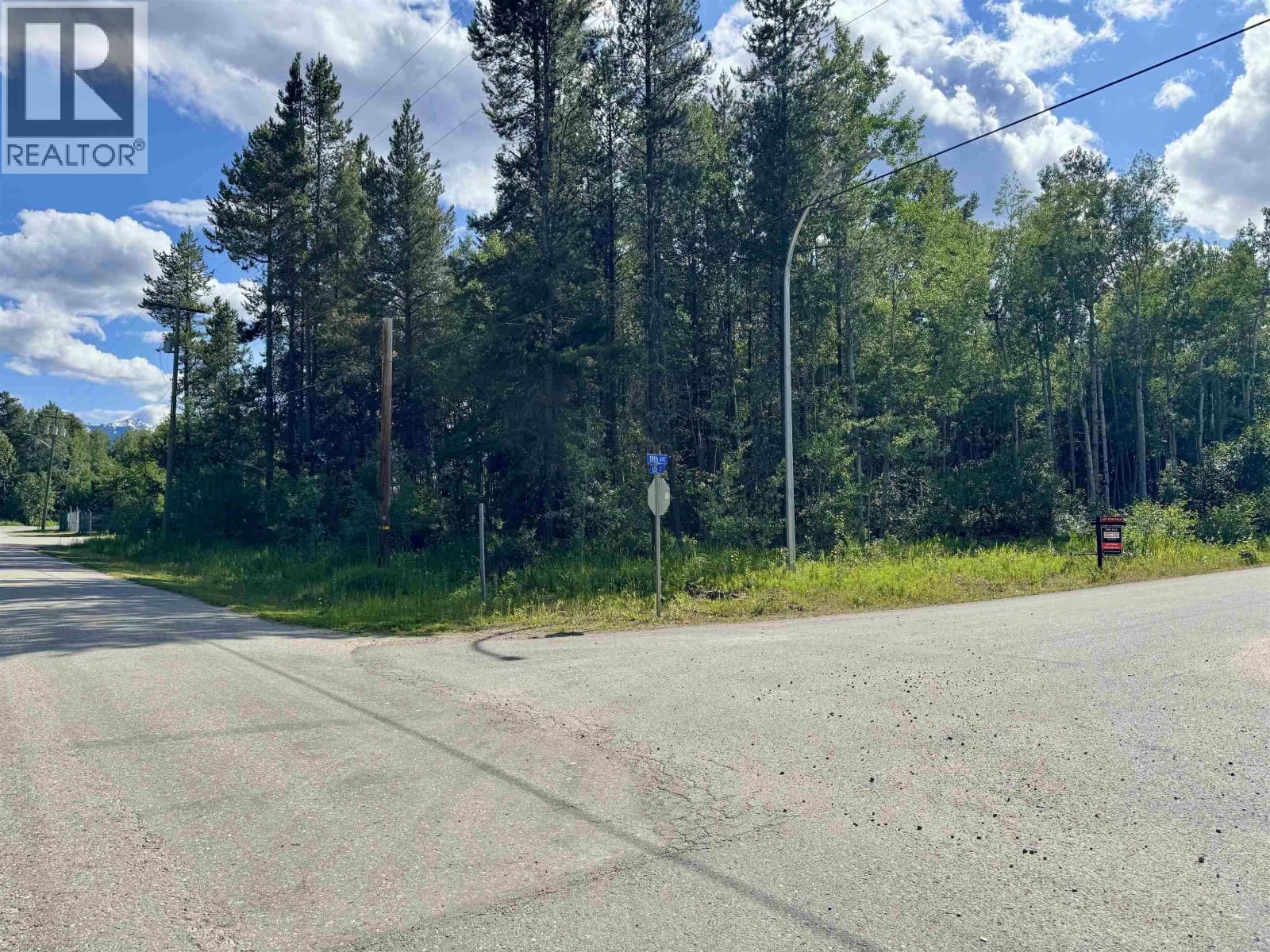 1005 18TH Avenue, Valemount, British Columbia V0E 2Z0