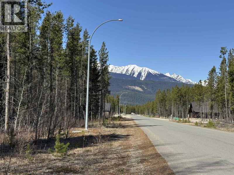 1015 18TH Avenue, Valemount, V0E2Z0 | Image 2