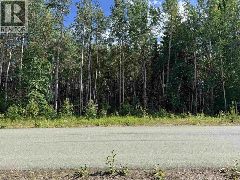 1015 18TH Avenue, Valemount, V0E2Z0 | Image 3