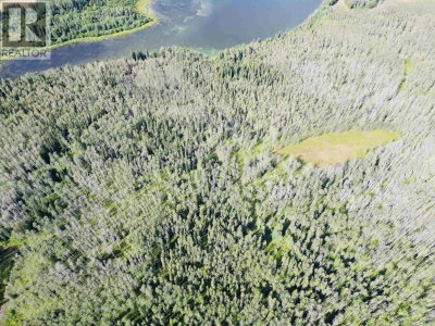 DL 941 SHAEFFER LAKE | Burns Lake British Columbia | Slide Image Four