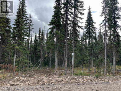 Lt 15 ALPINE Way | Smithers British Columbia | Slide Image Two