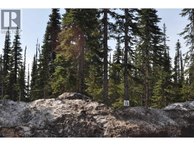 Lt 15 ALPINE Way | Smithers British Columbia | Slide Image Four