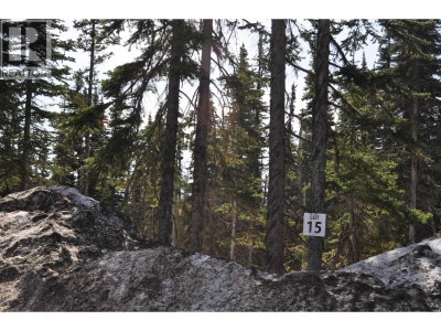 Lt 15 ALPINE Way | Smithers British Columbia | Slide Image Five