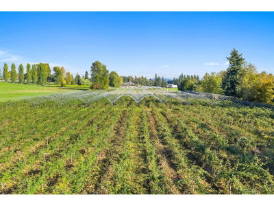 1415 CLEARBROOK Road | Abbotsford British Columbia | Slide Image Ten