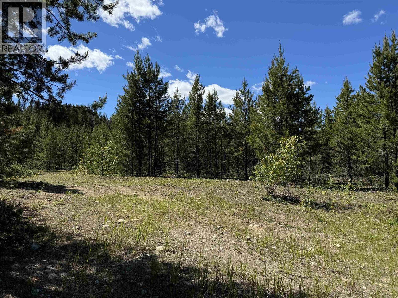4 PITNEY Road, Valemount, British Columbia V0E 2Z0