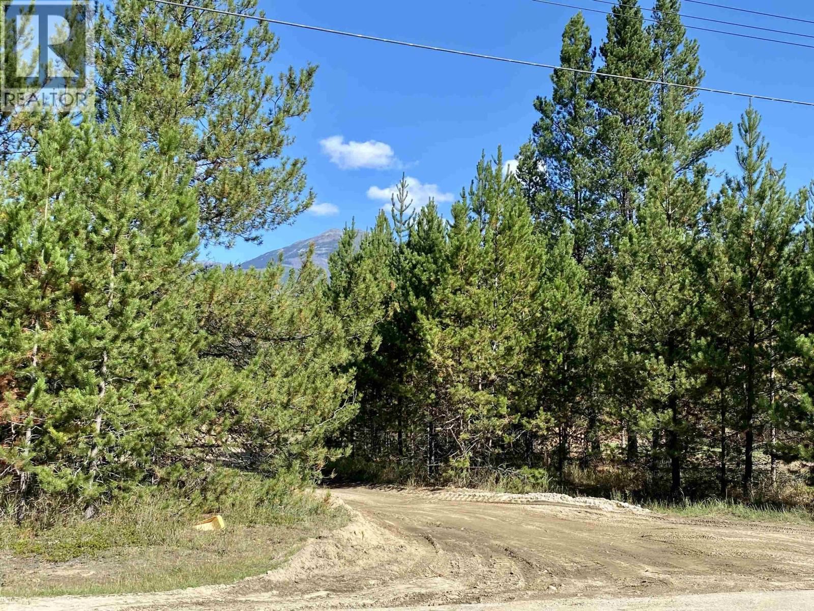 1170 14TH Avenue, Valemount, British Columbia V0E 2Z0
