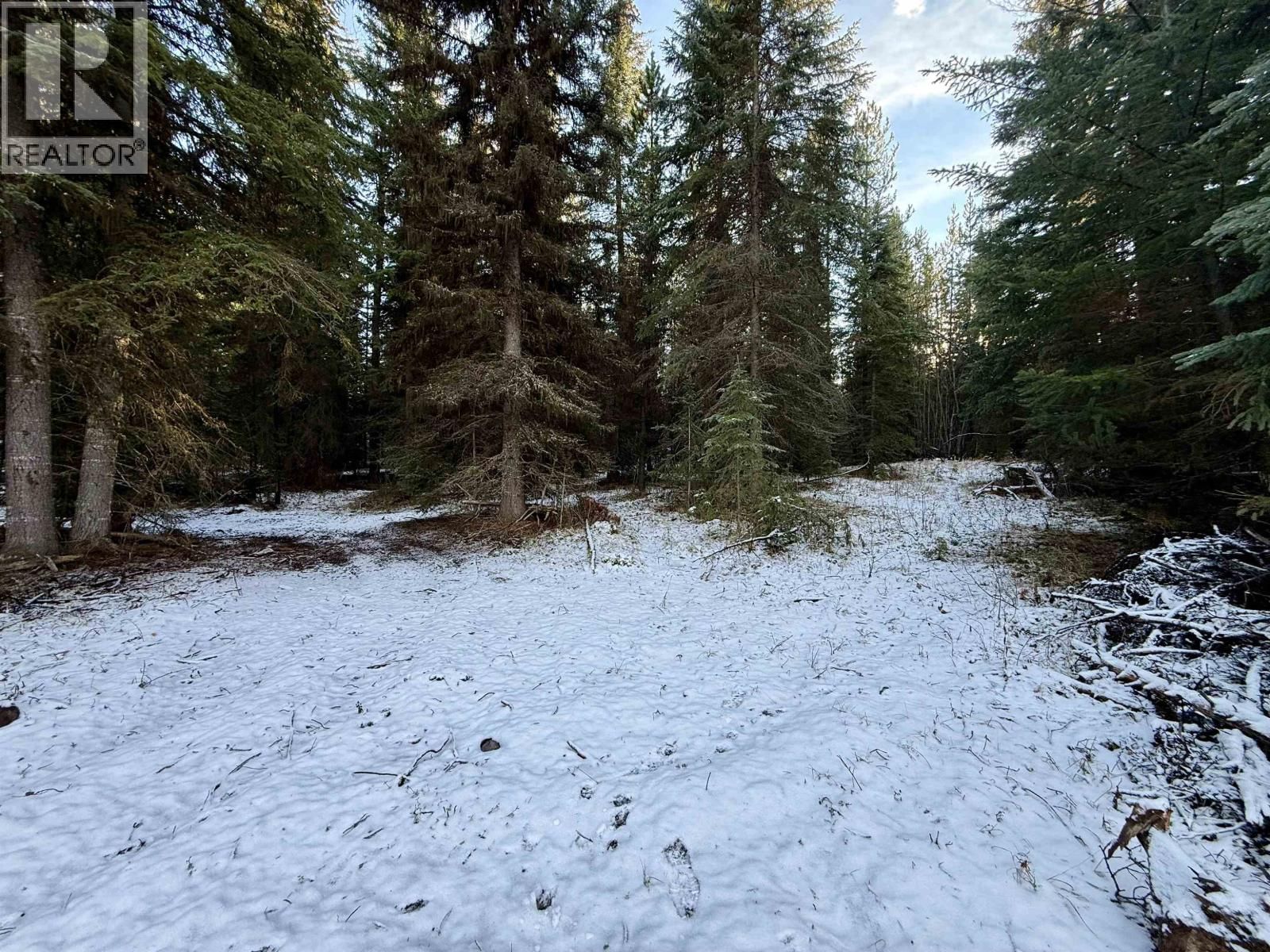 6305 RENNEY ROAD Image 18