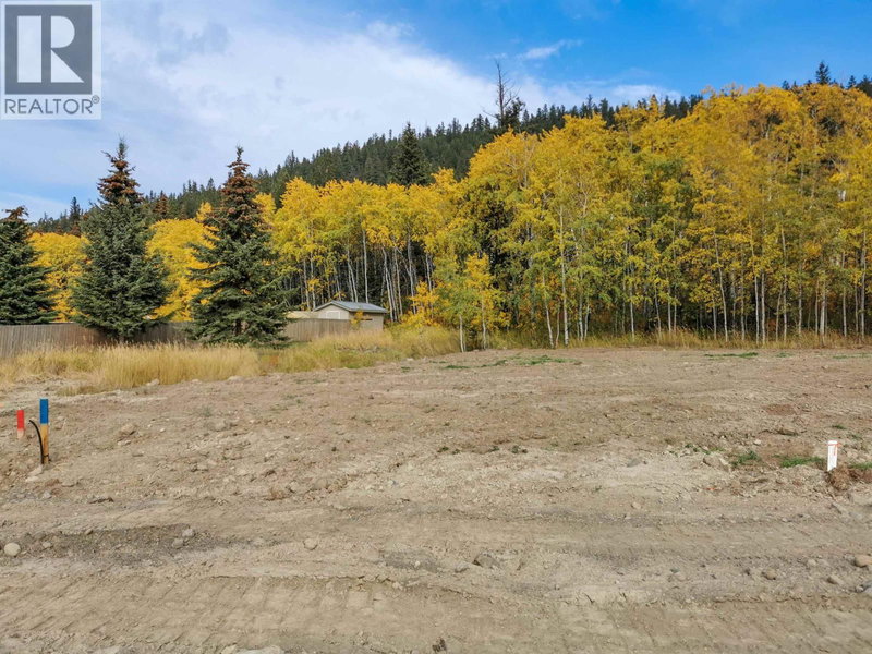 268 BLACKSTOCK Road, 100 Mile House, V0K2E3 | Image 2