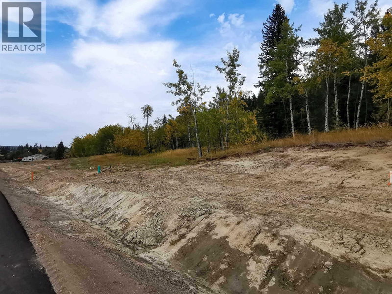 288 BLACKSTOCK Road, 100 Mile House, V0K2E3 | Image 3