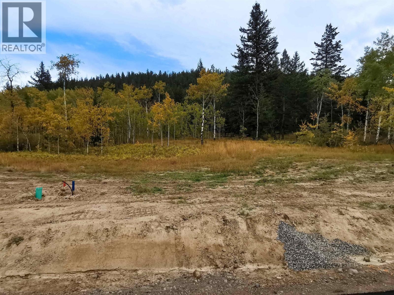 284 BLACKSTOCK Road, 100 Mile House, British Columbia V0K 2E3