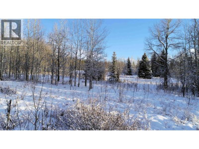 N1/2 DL 2557 BINTA Road | Burns Lake British Columbia | Slide Image Sixteen