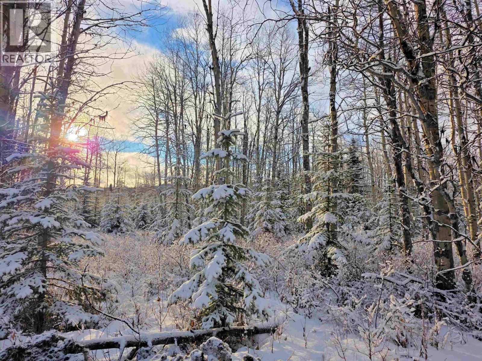 FRAC - N1/2 DL 2557 BINTA ROAD Image 21