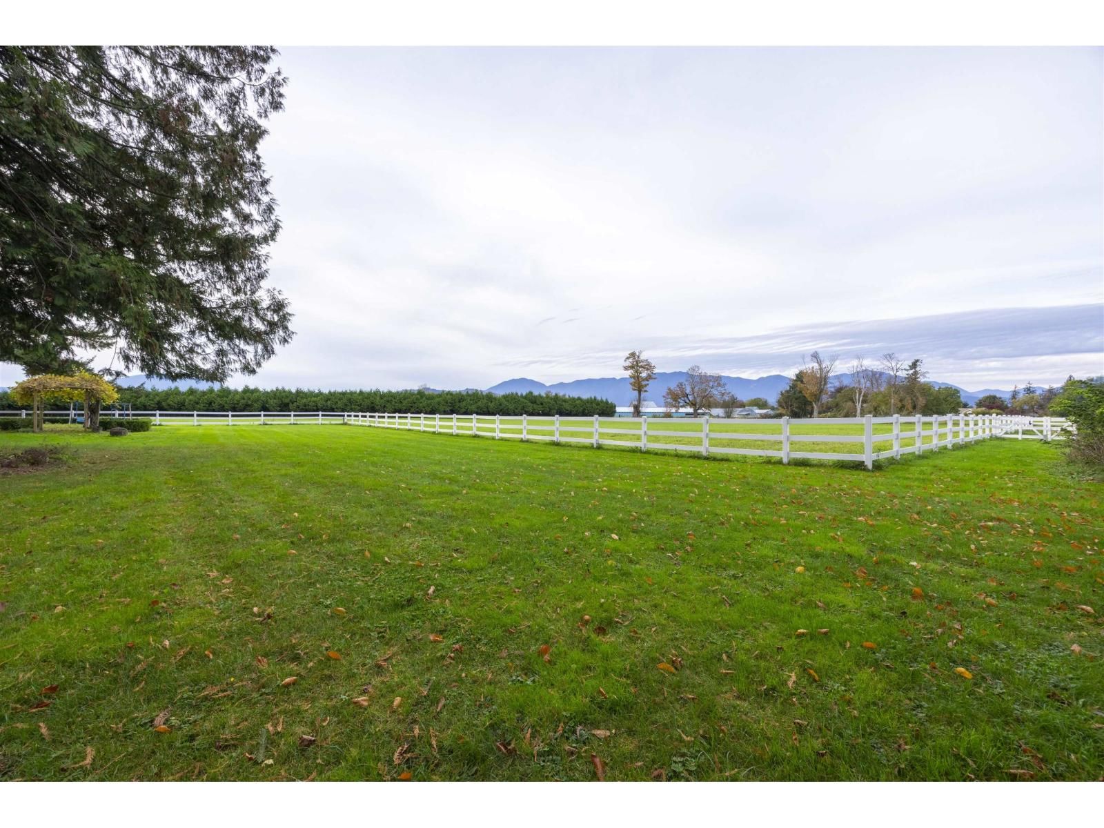 6911 CHILLIWACK RIVER ROAD Image 31