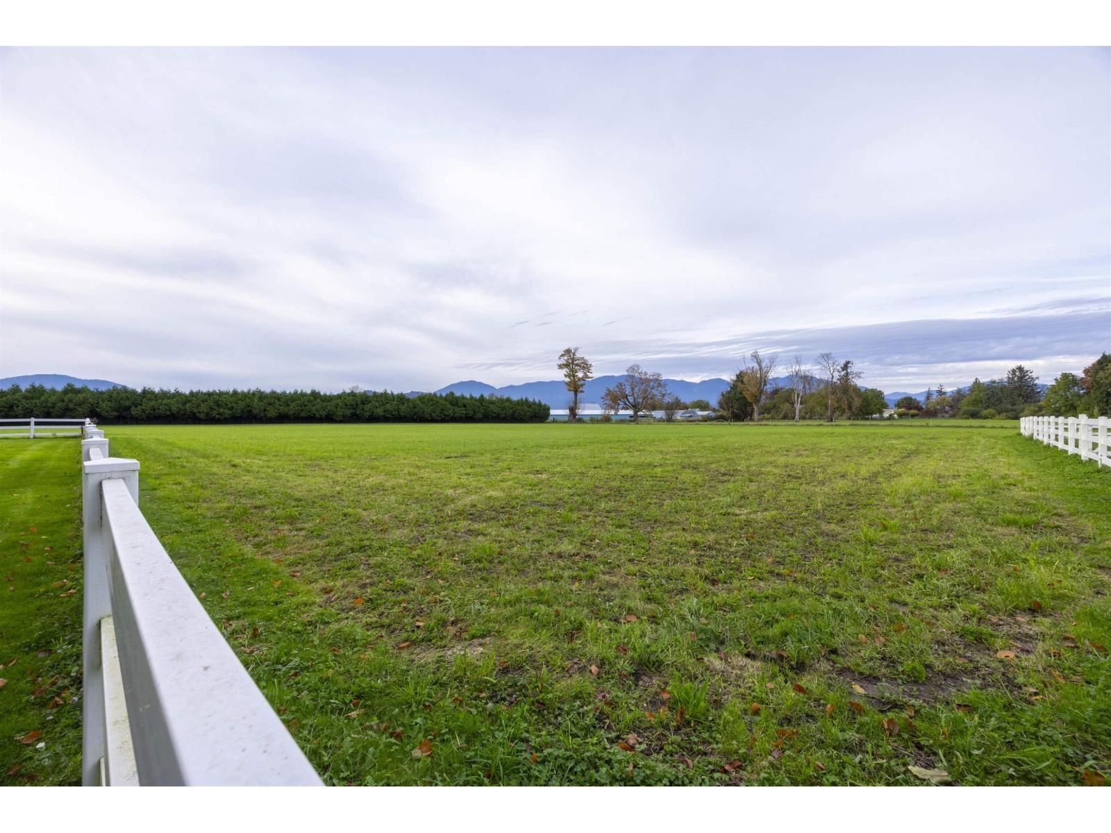 6911 CHILLIWACK RIVER ROAD Image 33