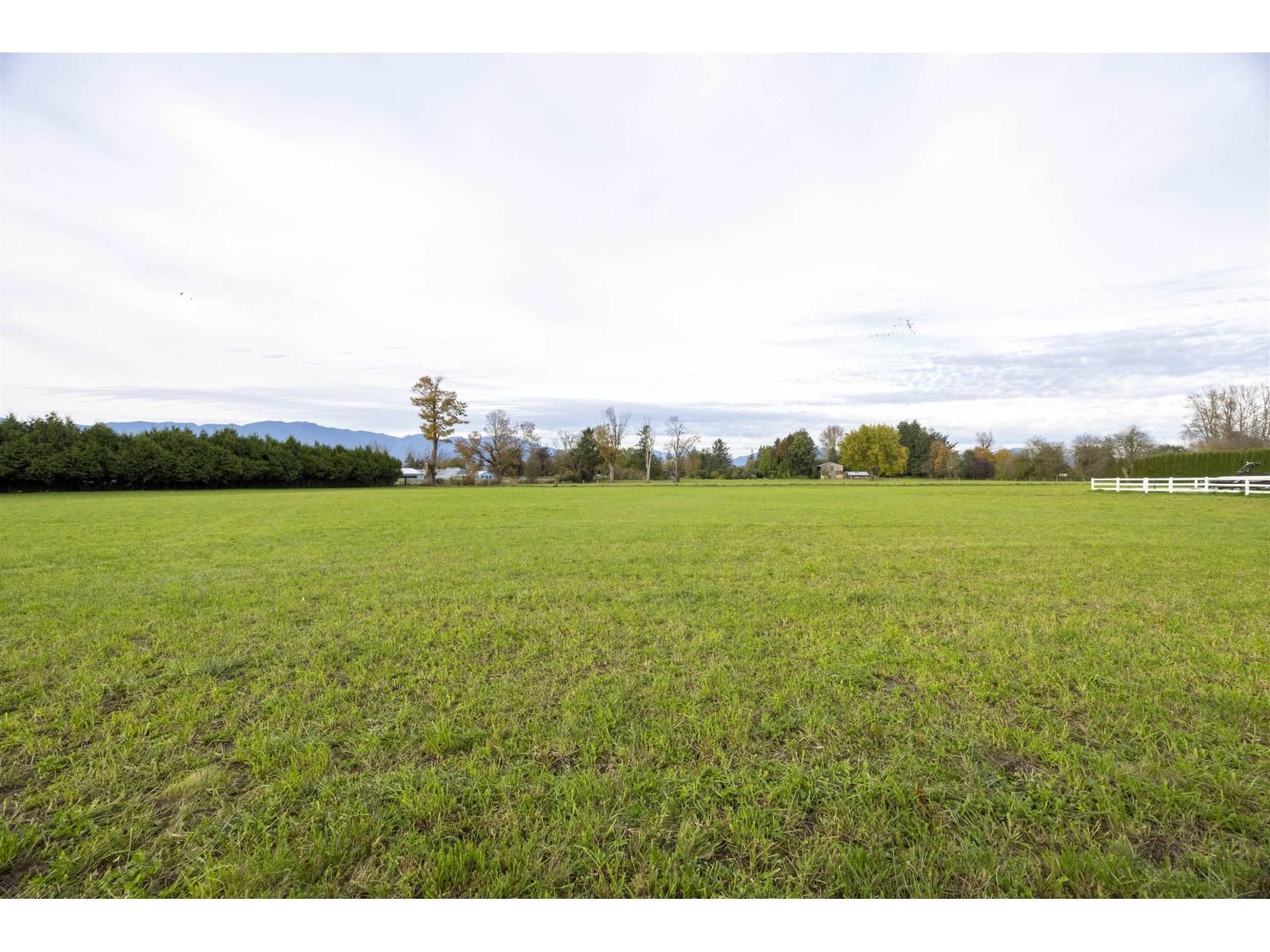 6911 CHILLIWACK RIVER ROAD Image 37