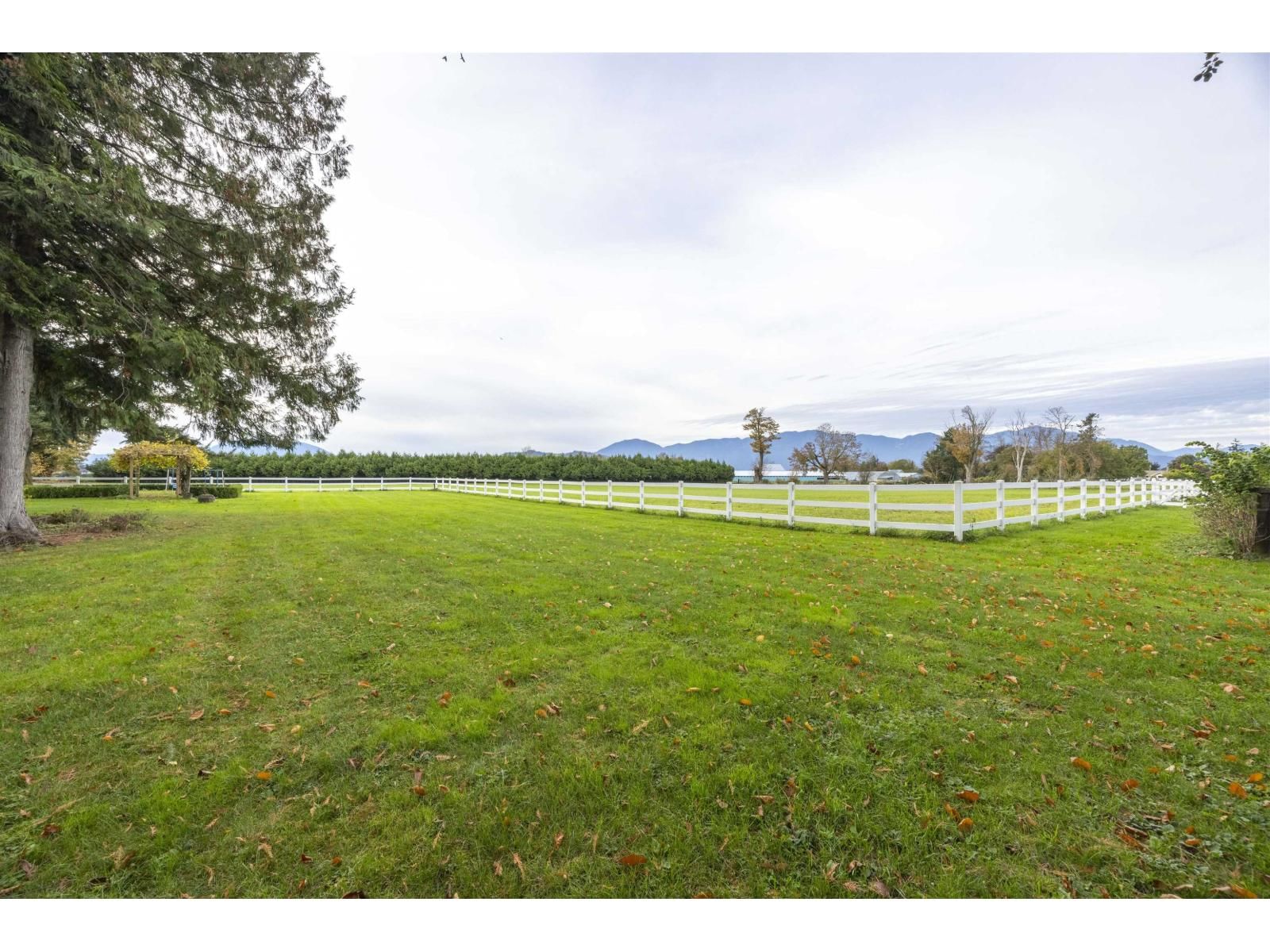 6911 CHILLIWACK RIVER ROAD Image 38