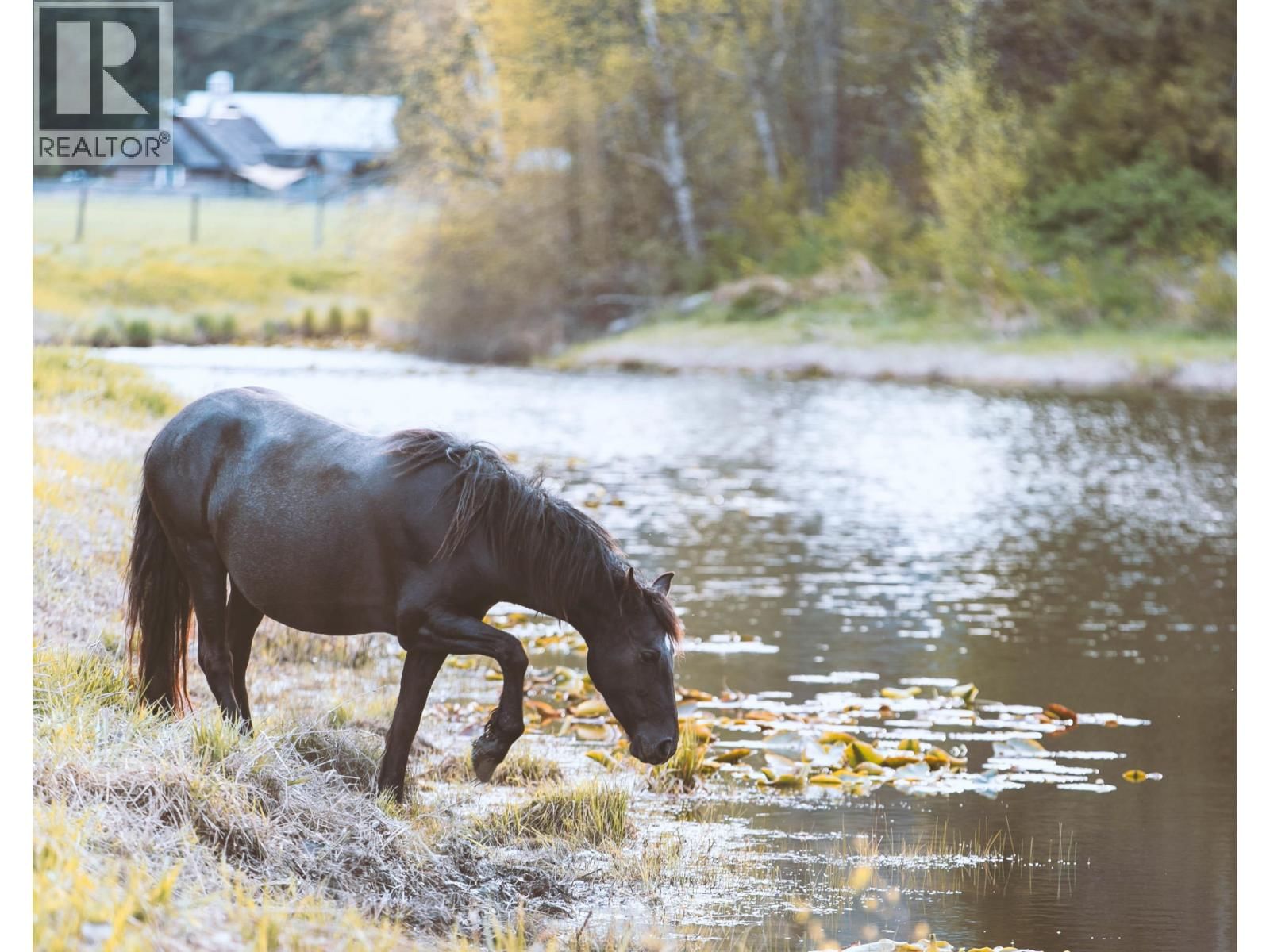 7634 SEVEN O'CLOCK DRIVE Image 25