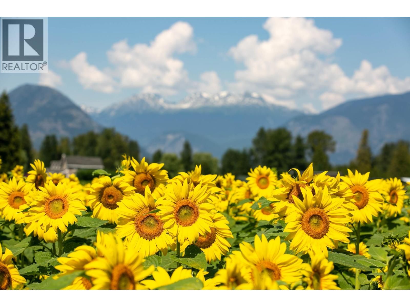 7634 SEVEN O'CLOCK DRIVE Image 27