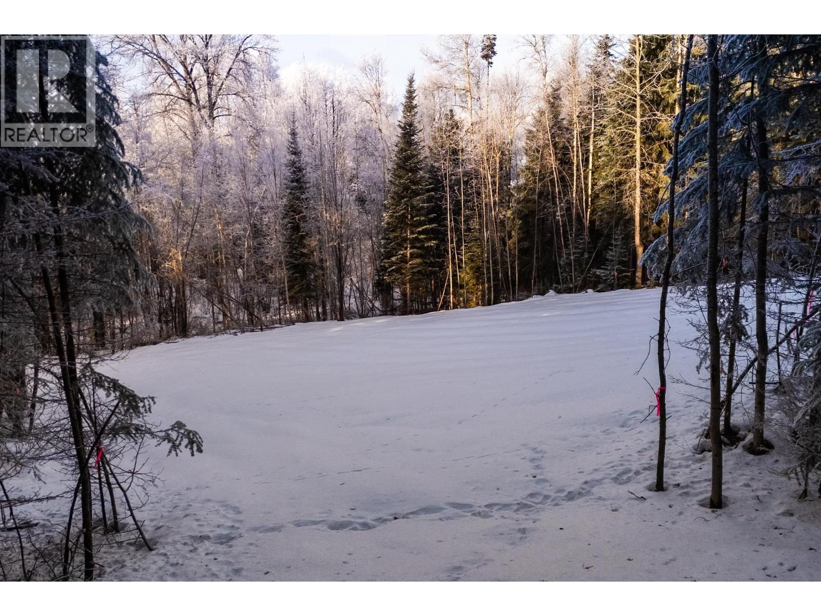 LOT - 24 BEGER ROAD Image 4