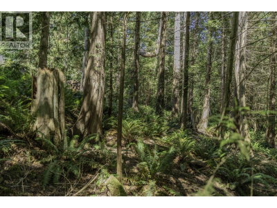 12882 STONE Road | Pender Harbour British Columbia | Slide Image Twelve