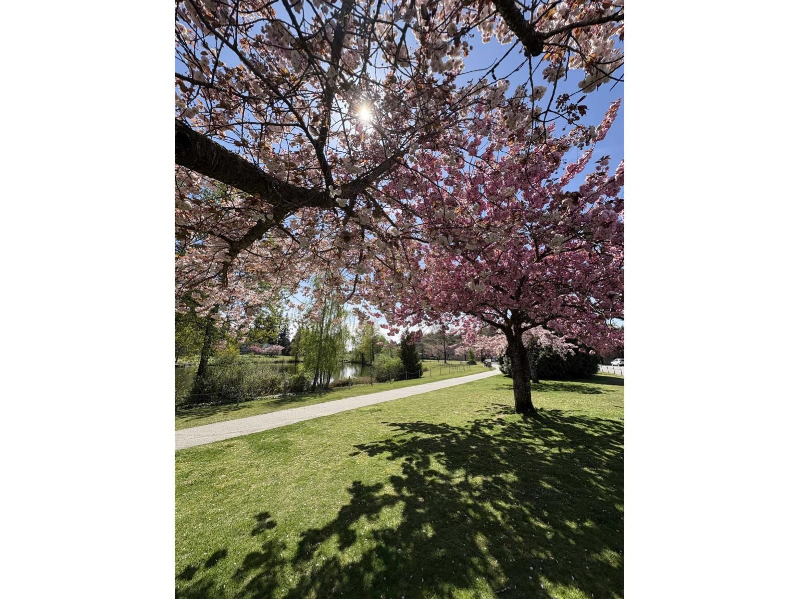 13 - 6211 W. BOUNDARY DRIVE Image 38