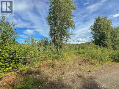 5115 SWANNELL Drive | Hazelton British Columbia | Slide Image Thirteen